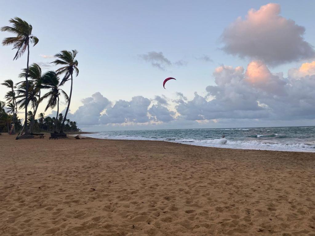 Cabarete Maravilla Eco Lodge Boutique Beach Surf Encuentro, Kite, By Aa Crypto Group מראה חיצוני תמונה
