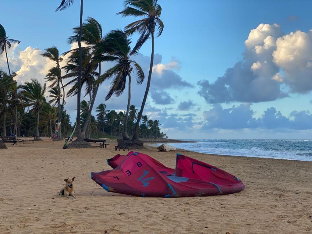 Cabarete Maravilla Eco Lodge Boutique Beach Surf Encuentro, Kite, By Aa Crypto Group מראה חיצוני תמונה