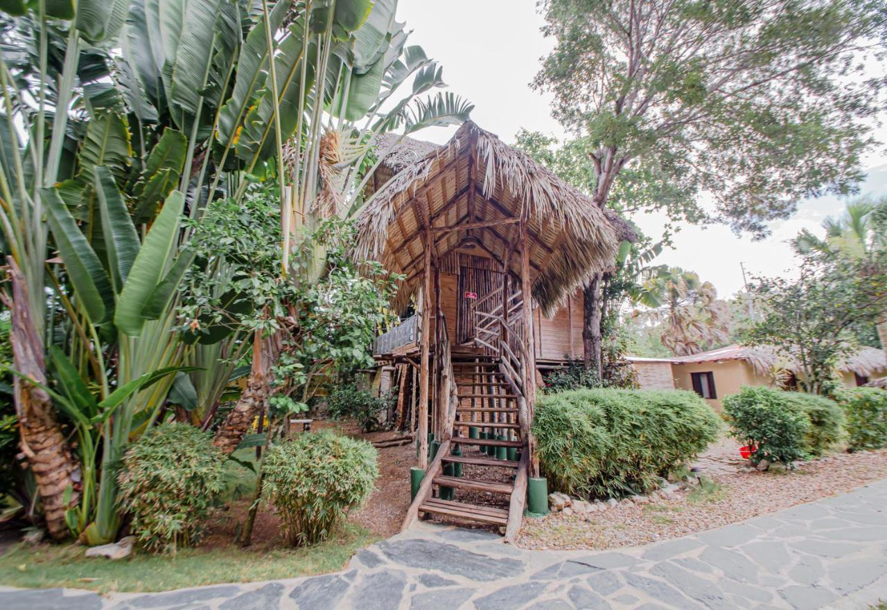 Cabarete Maravilla Eco Lodge Boutique Beach Surf Encuentro, Kite, By Aa Crypto Group מראה חיצוני תמונה