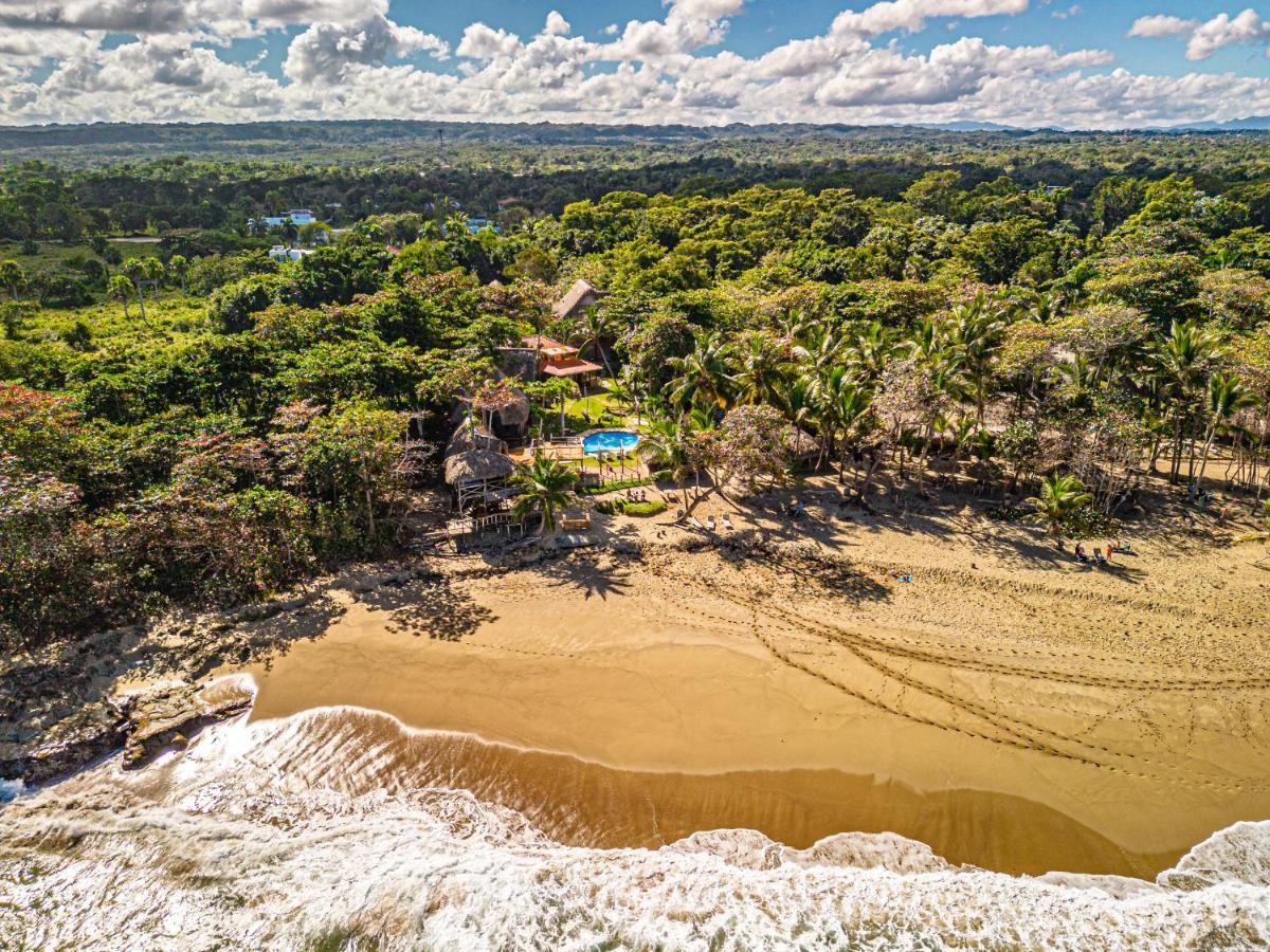 Cabarete Maravilla Eco Lodge Boutique Beach Surf Encuentro, Kite, By Aa Crypto Group מראה חיצוני תמונה
