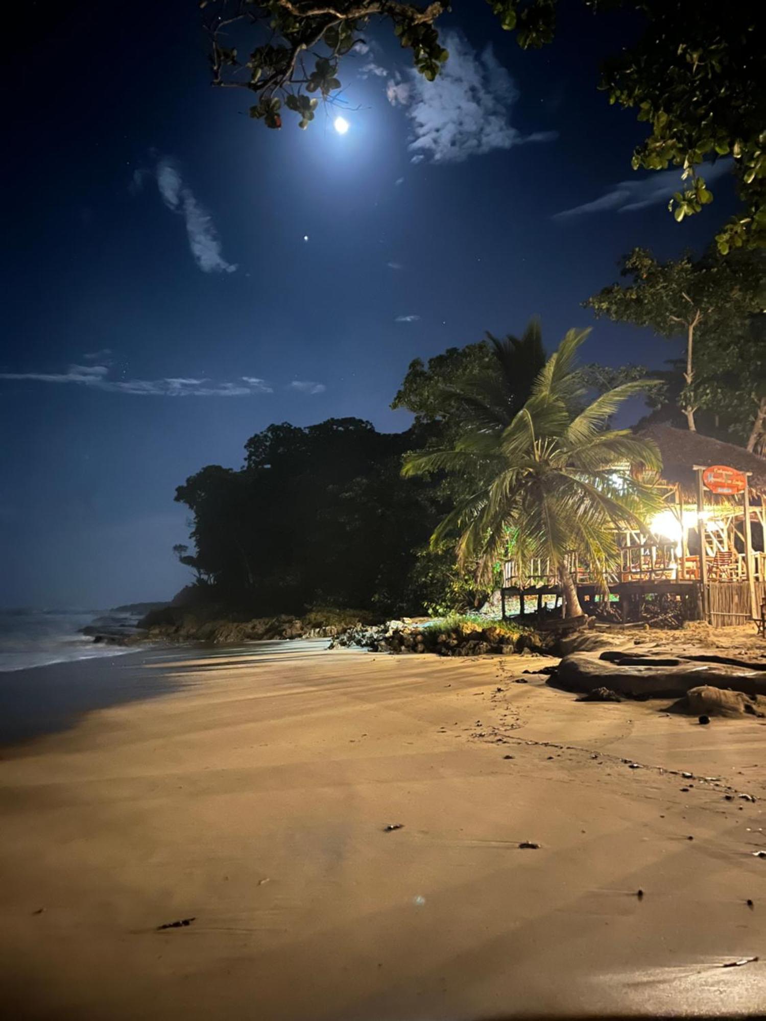 Cabarete Maravilla Eco Lodge Boutique Beach Surf Encuentro, Kite, By Aa Crypto Group מראה חיצוני תמונה