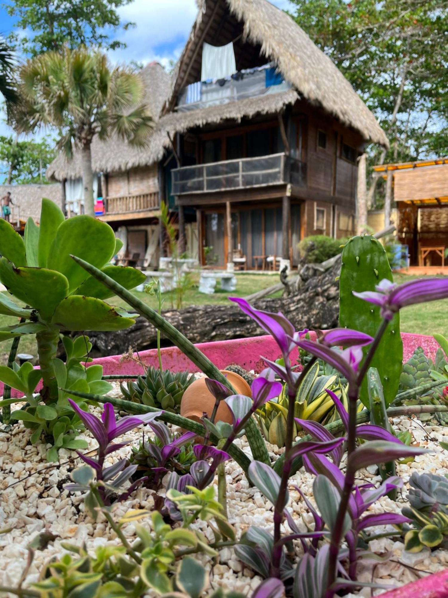 Cabarete Maravilla Eco Lodge Boutique Beach Surf Encuentro, Kite, By Aa Crypto Group מראה חיצוני תמונה